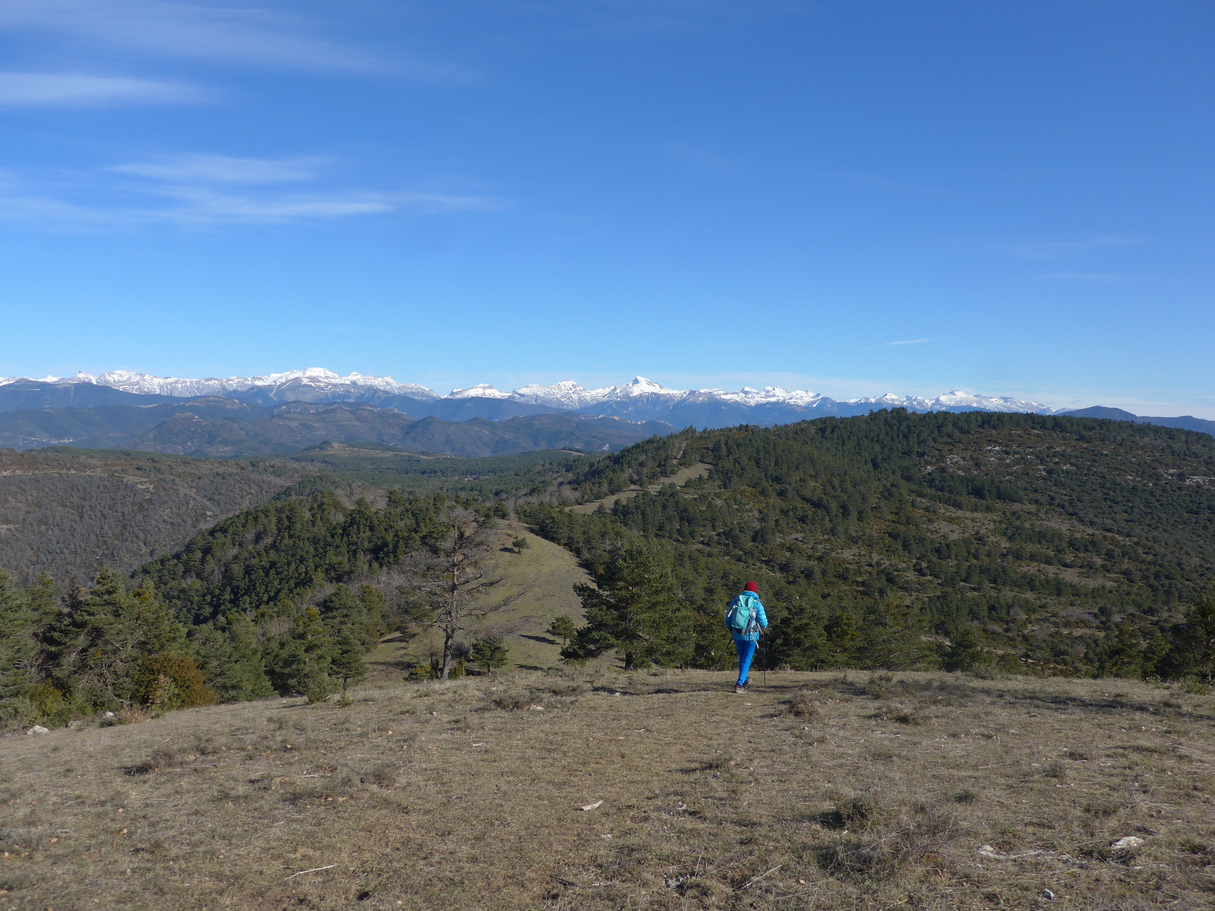 Bajando desde Bardipeña