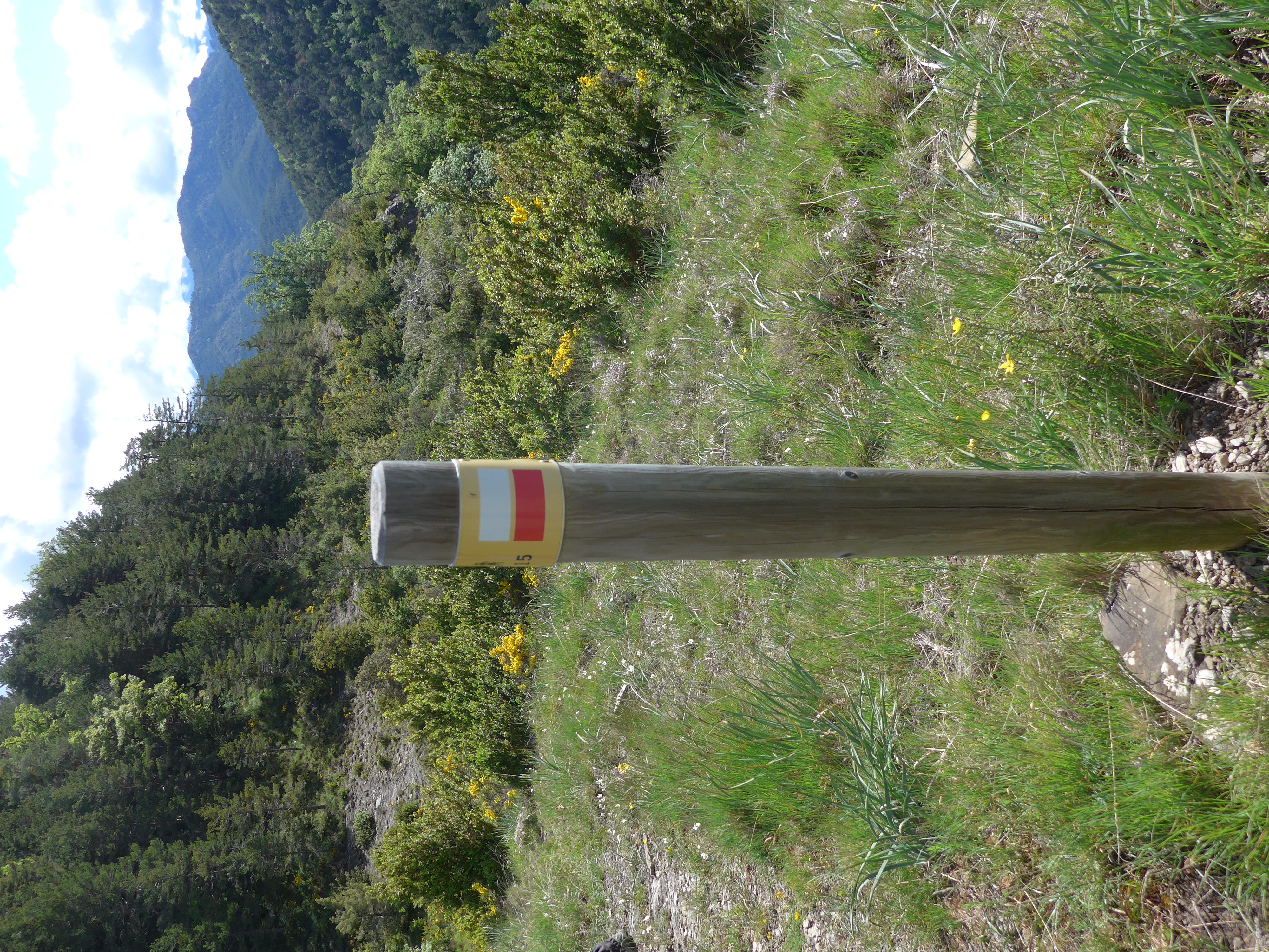 Baliza del GR 15 cerca de Fago