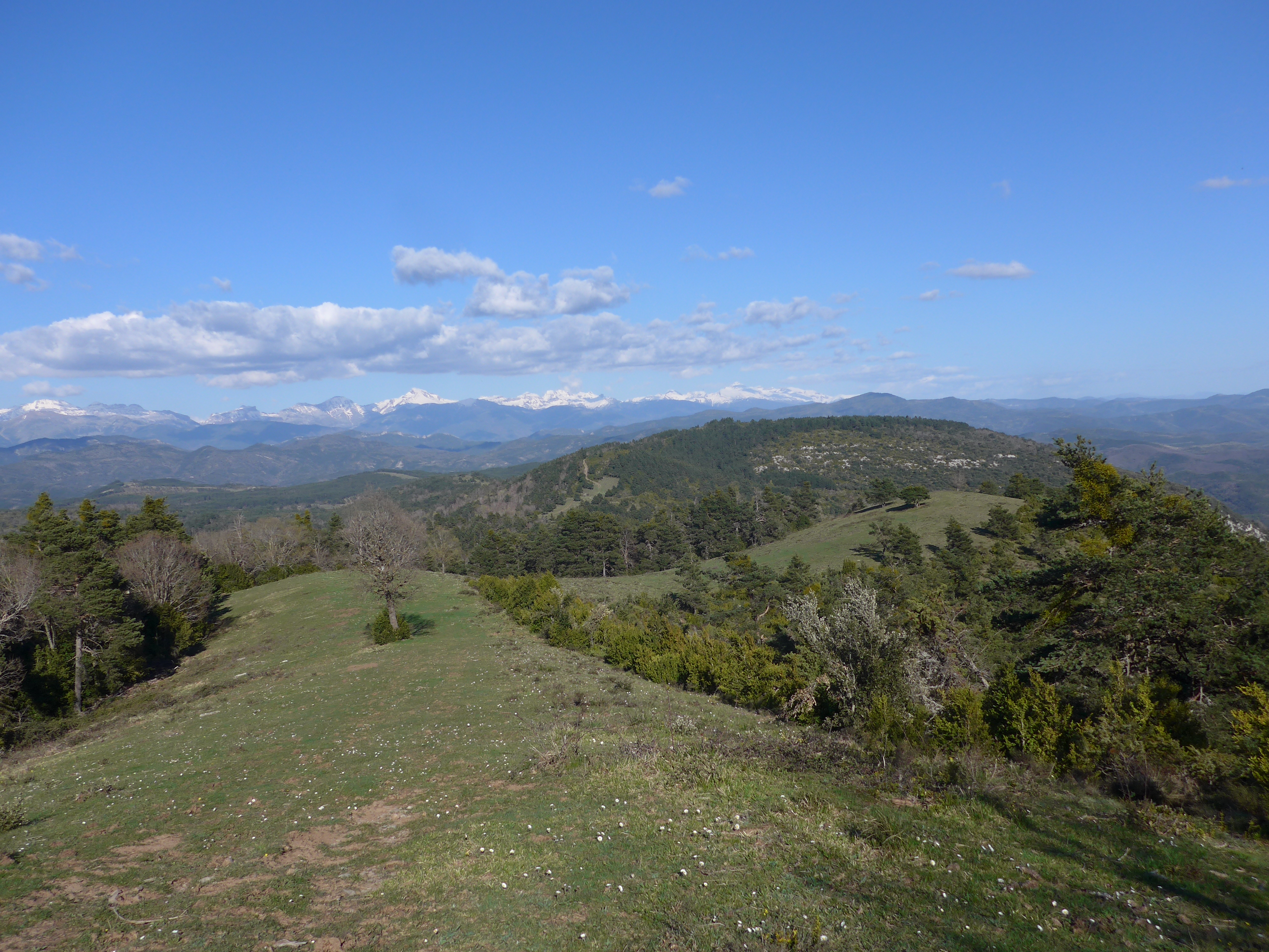 Al fondo, pirineos