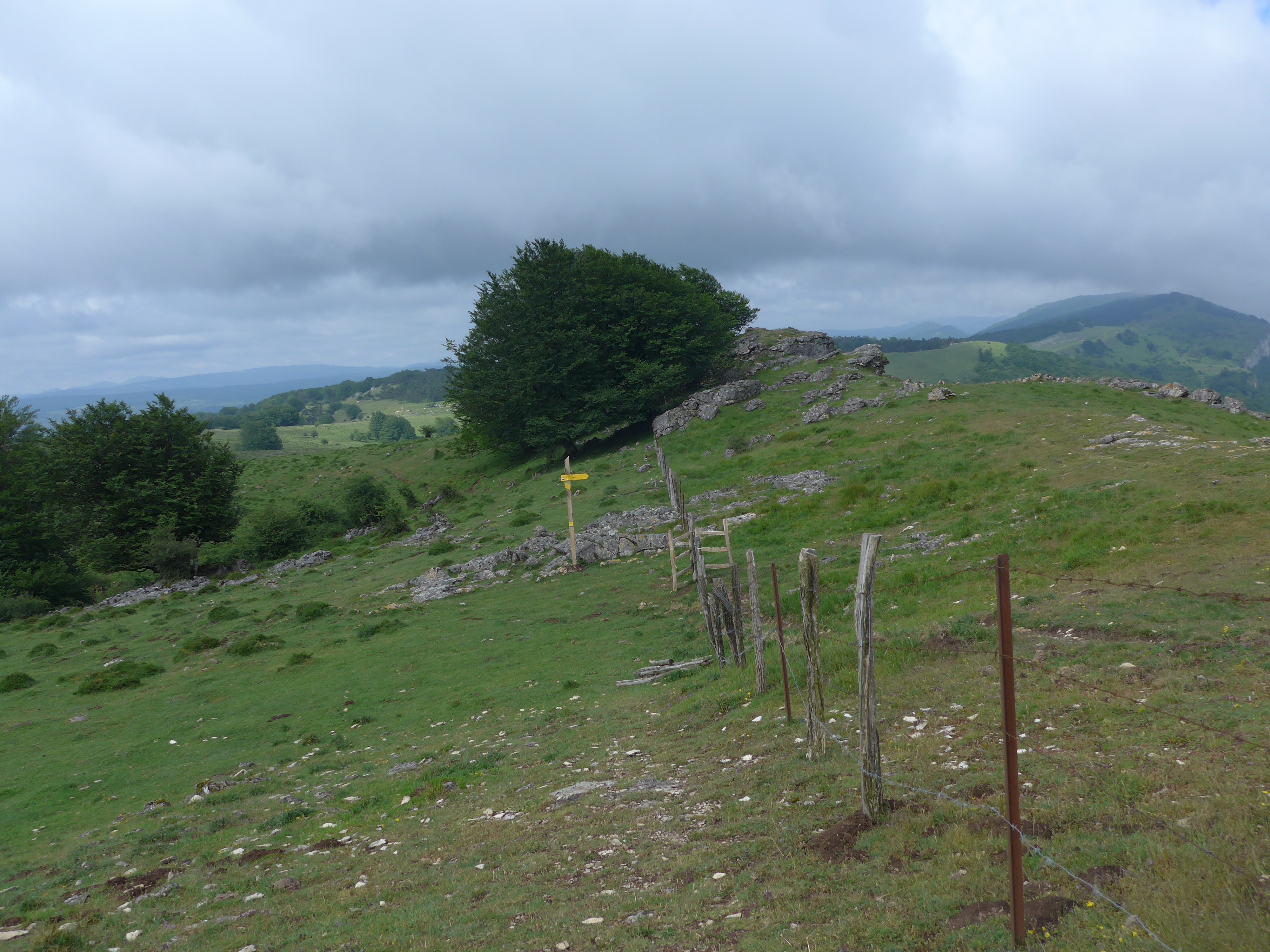 Puerto de Bakiaku - Oineta