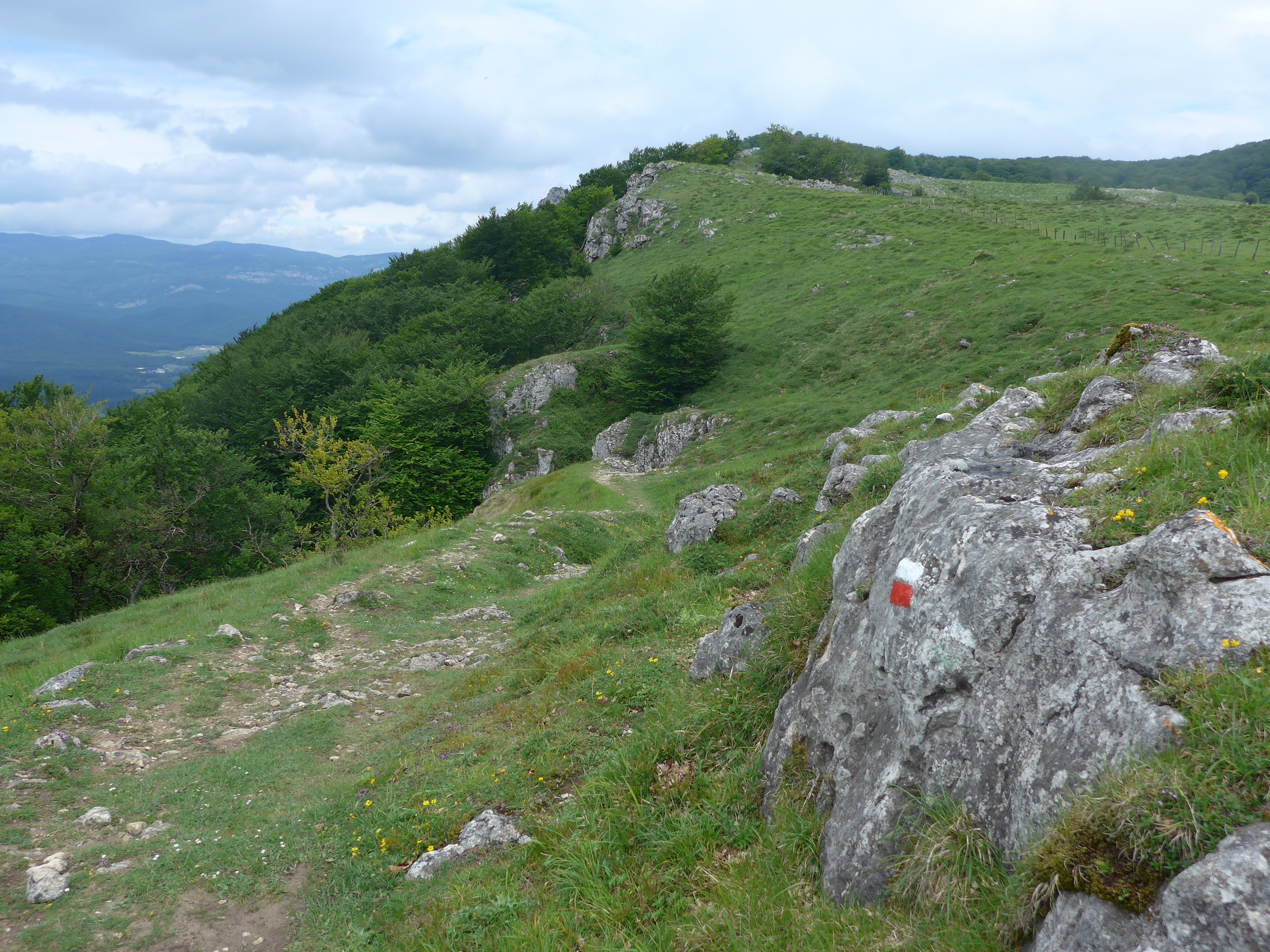 Cerca del puerto de Iturmendi