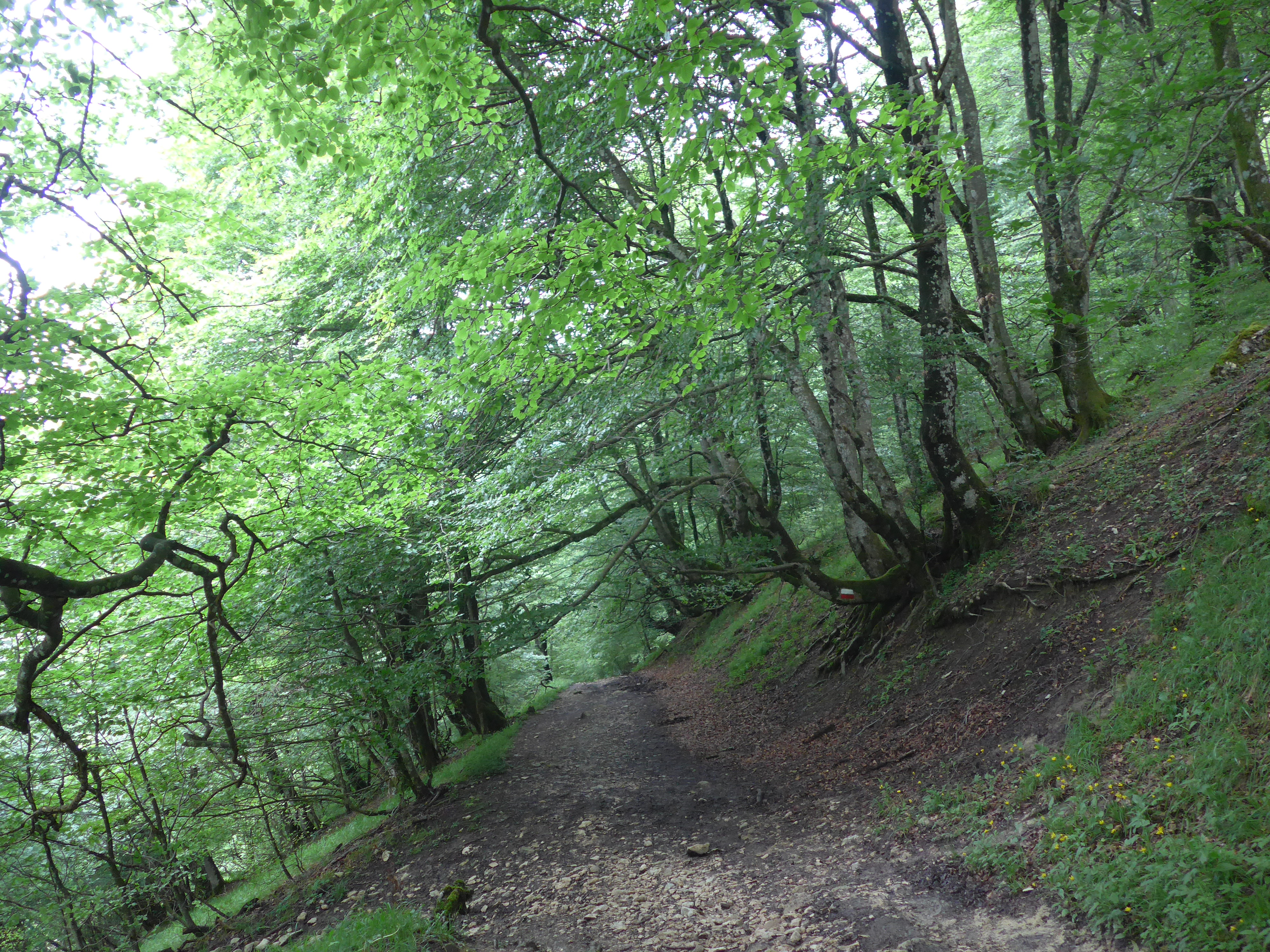 Del Puerto Iturmendi hacia Iturmendi