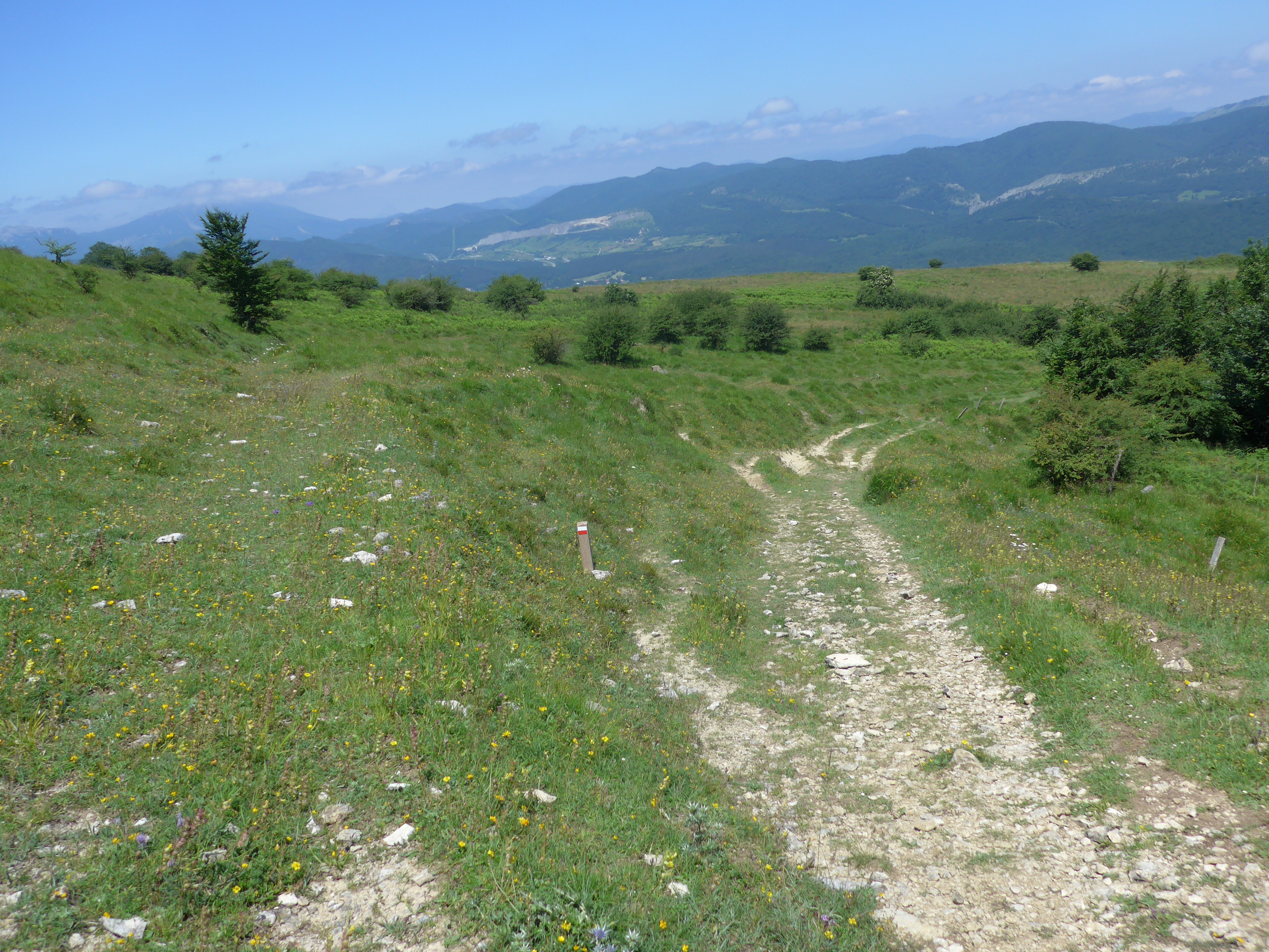 Bajando a Urdiain desde el puerto