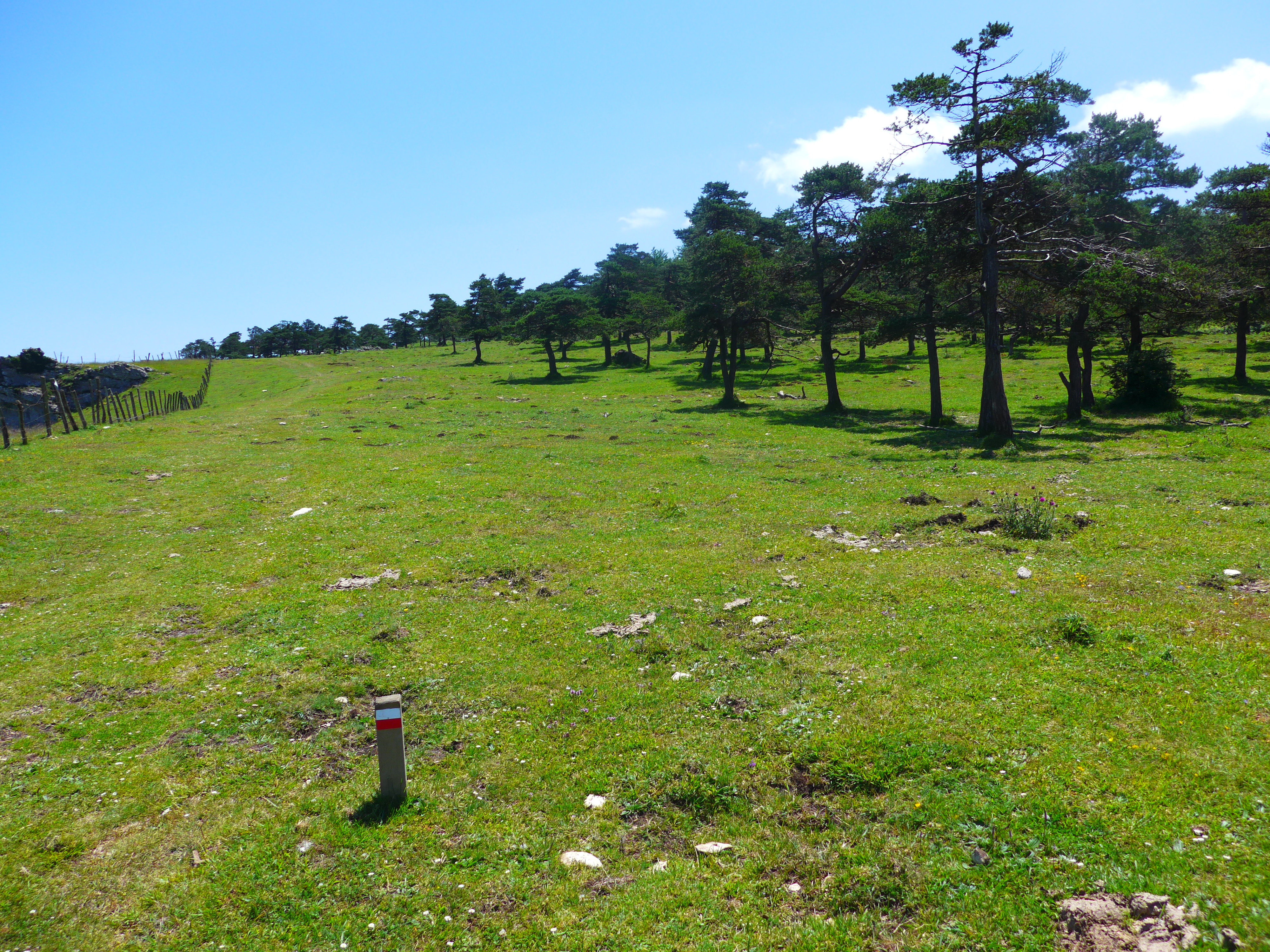 Cerca del puerto de Urdiain