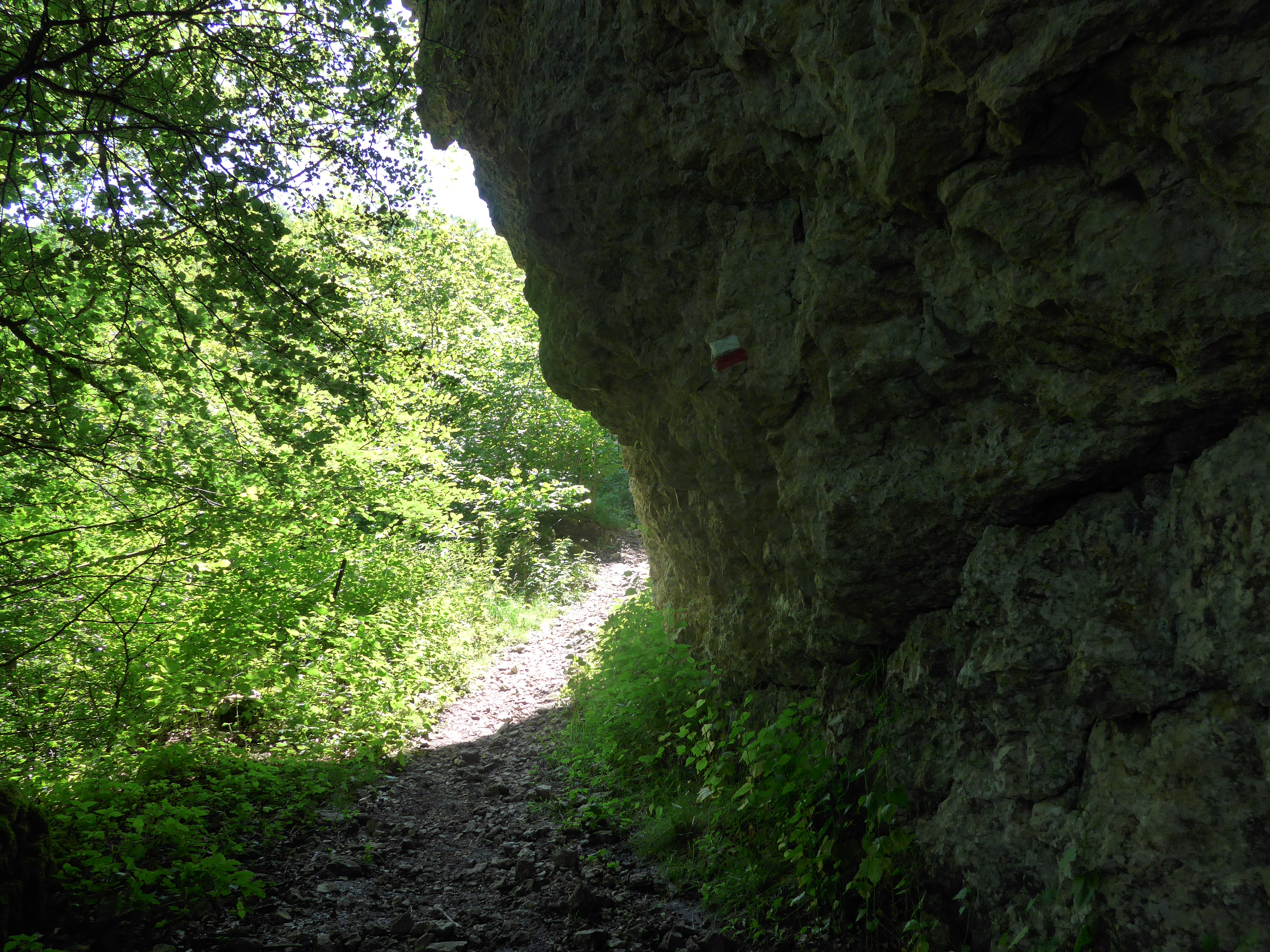 Desde Puerto a Urdiain1