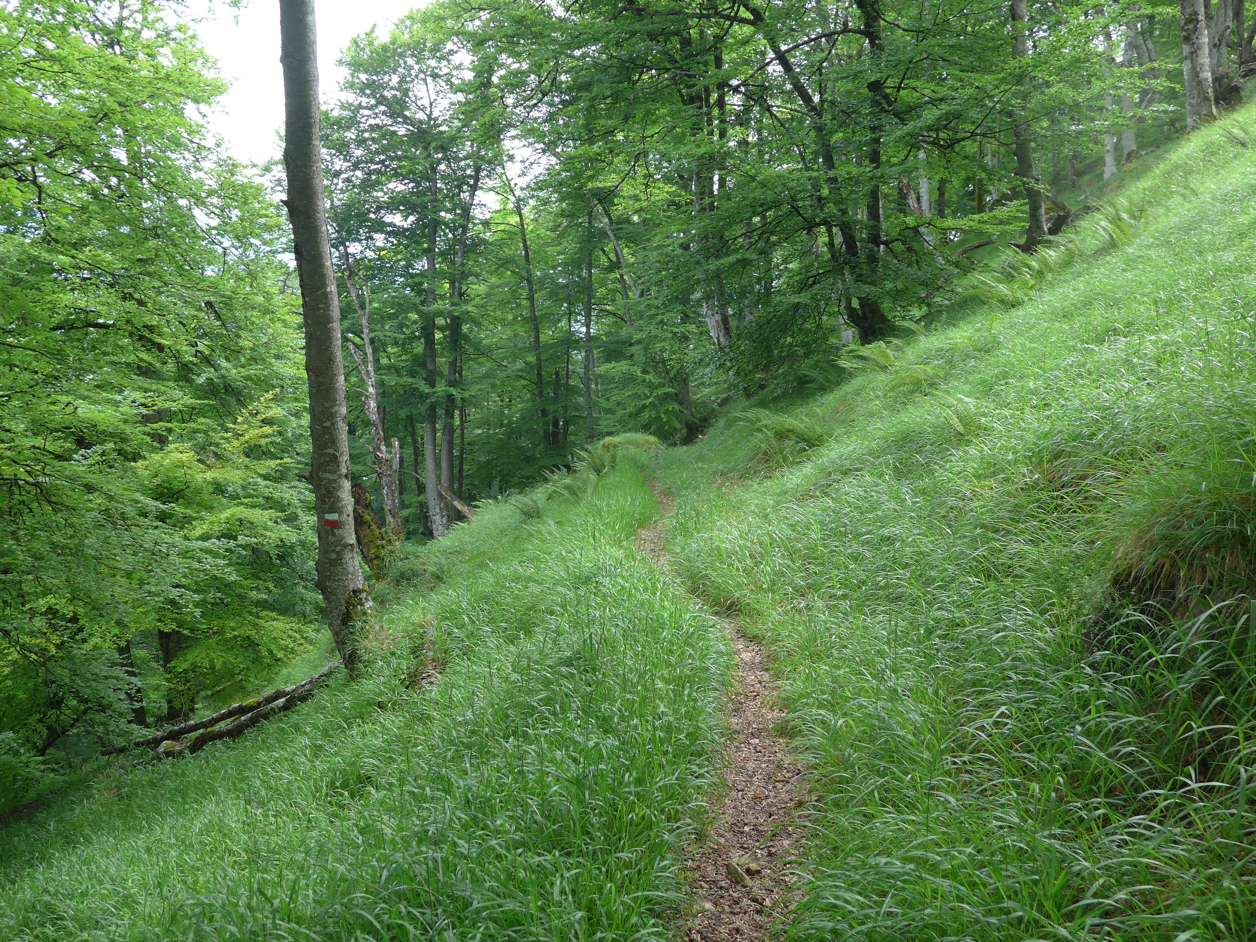 De Oineta a Bakaiku1