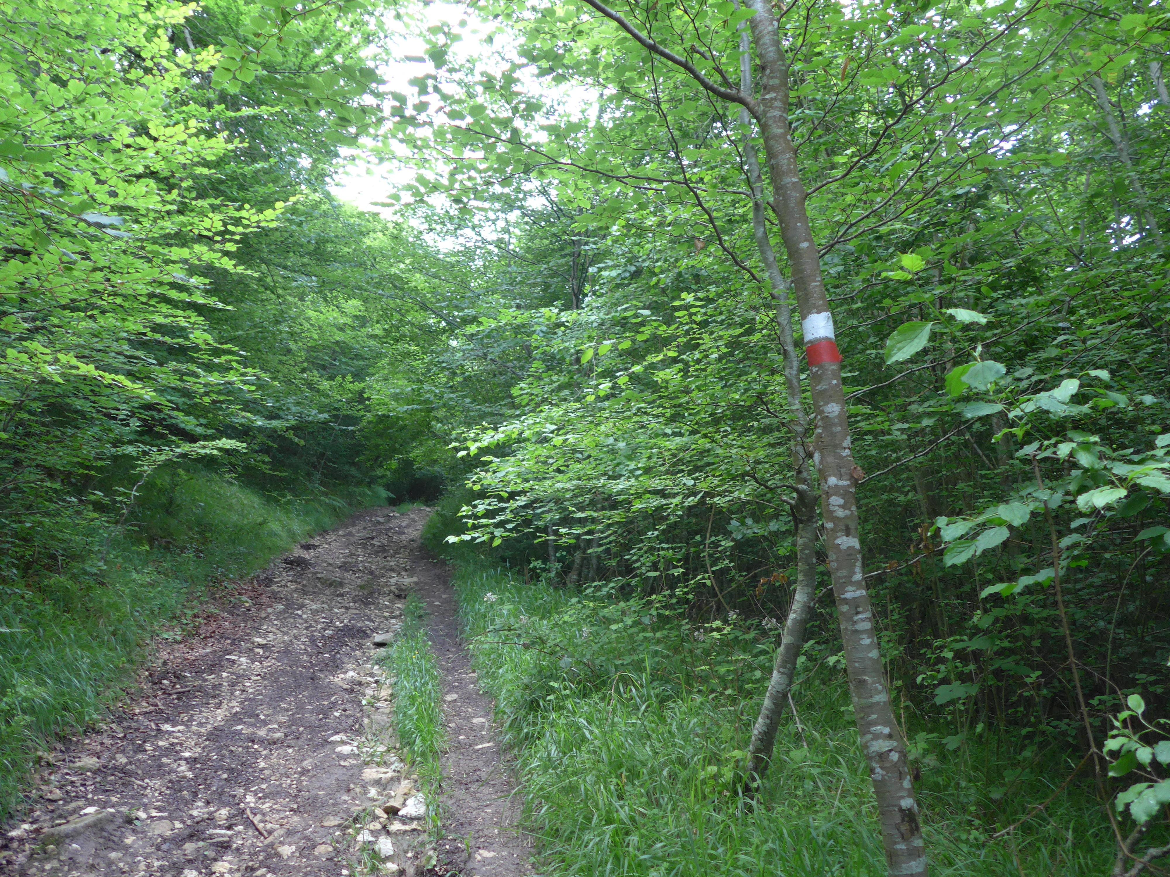 De Oineta a Bakaiku2