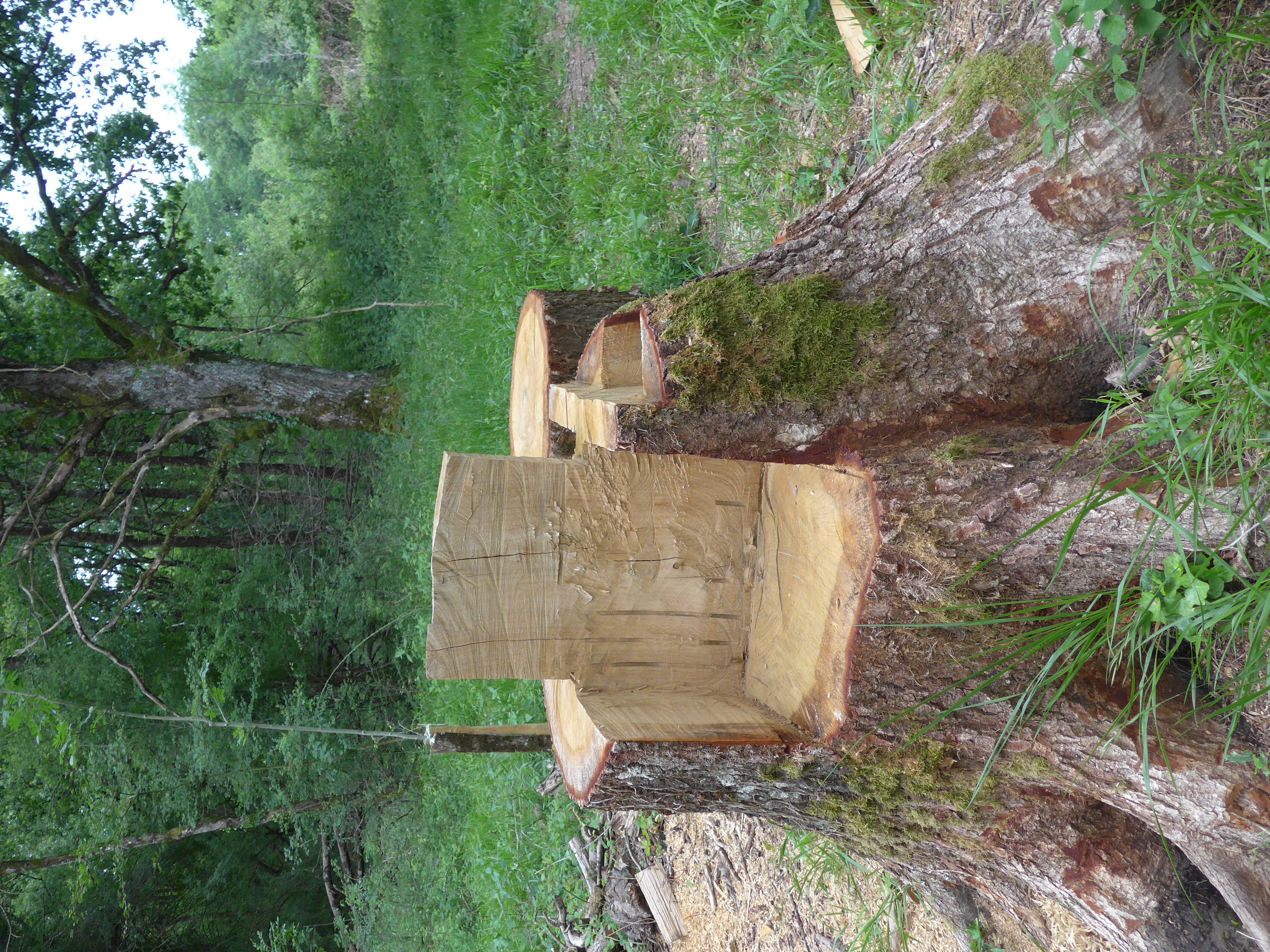 Artesanía en madera en la GR 323.1