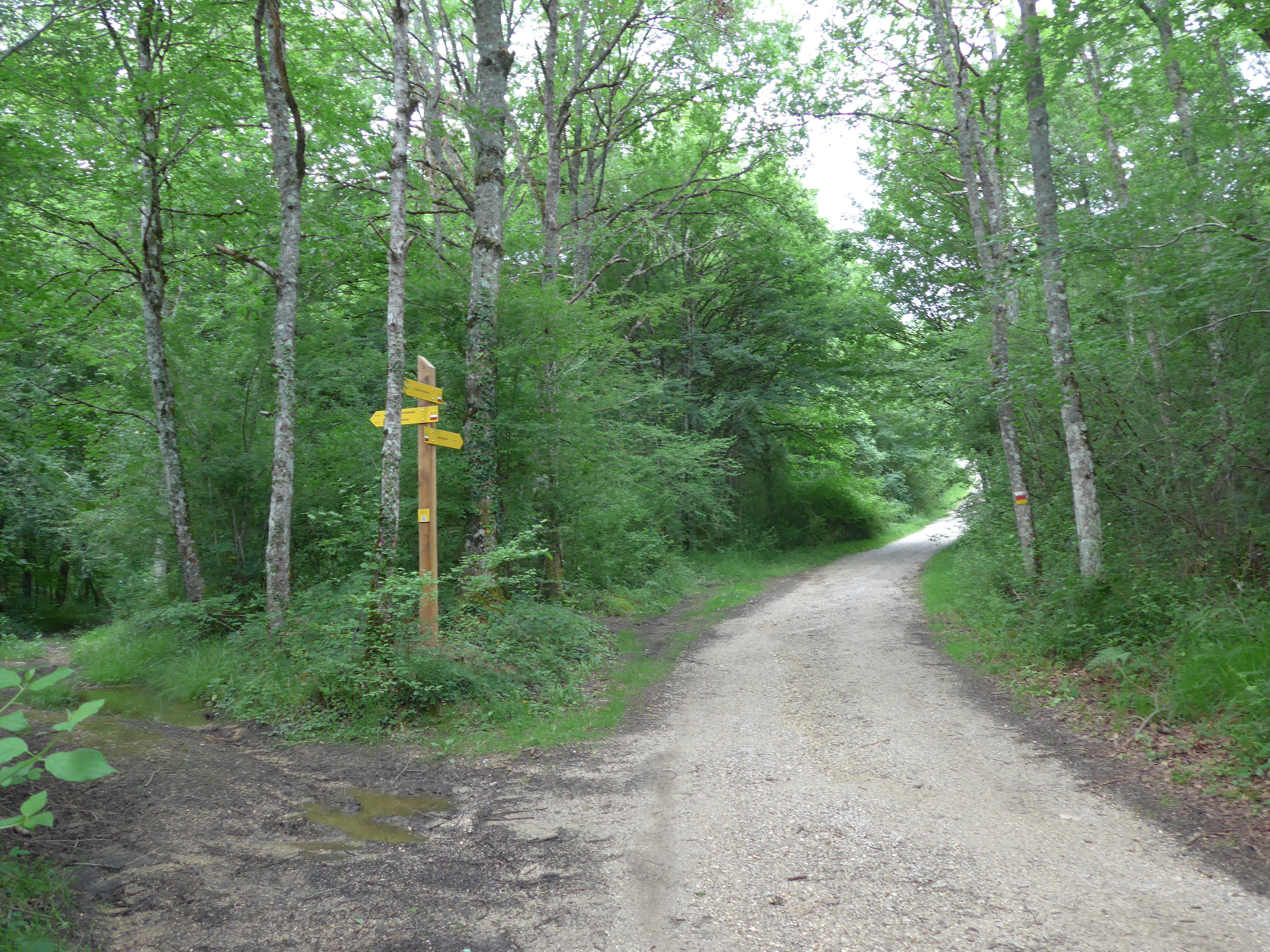 Recorrido compartido con PR-NA 133 1