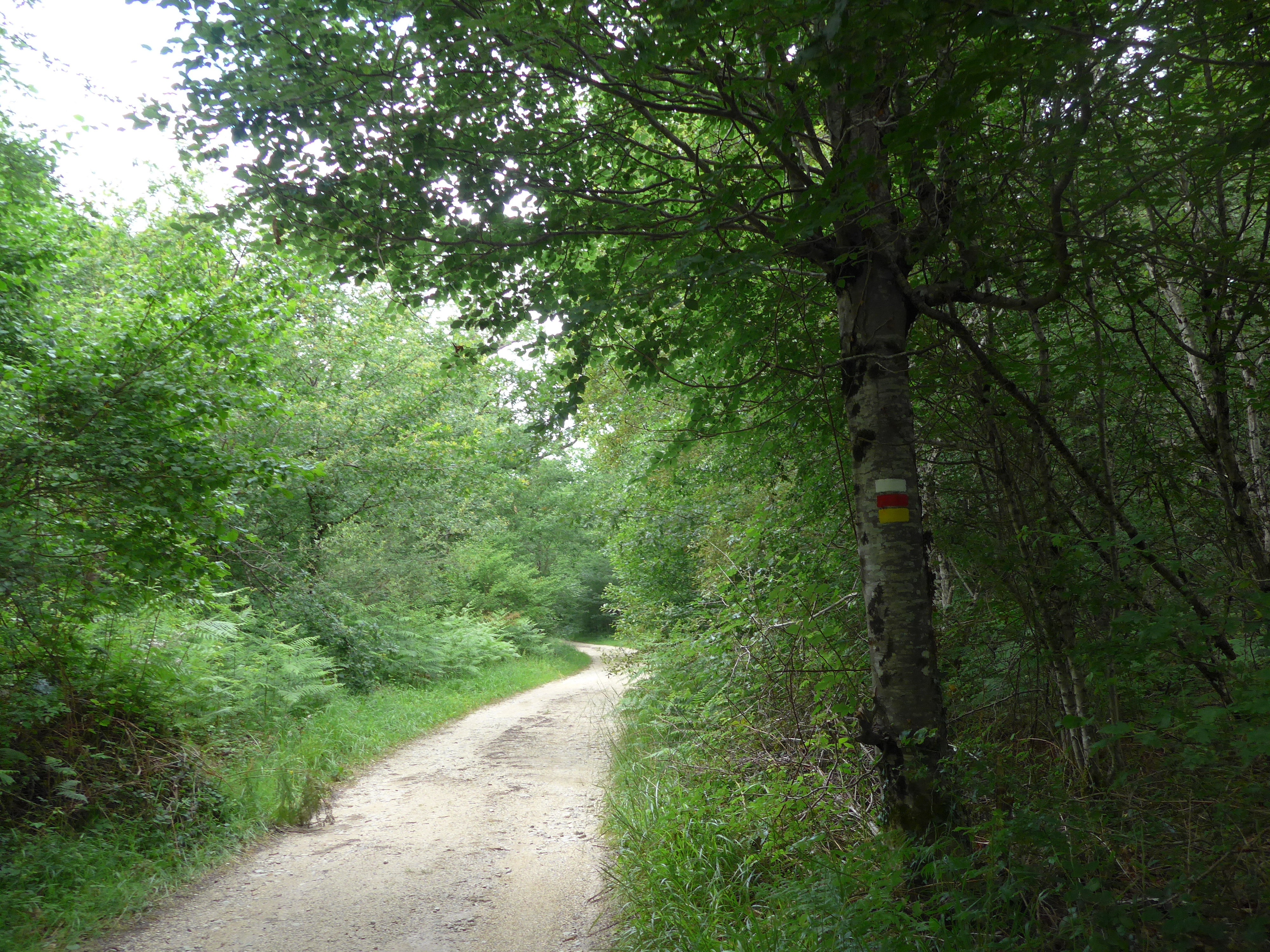 Recorrido compartido con PR-NA 133 2