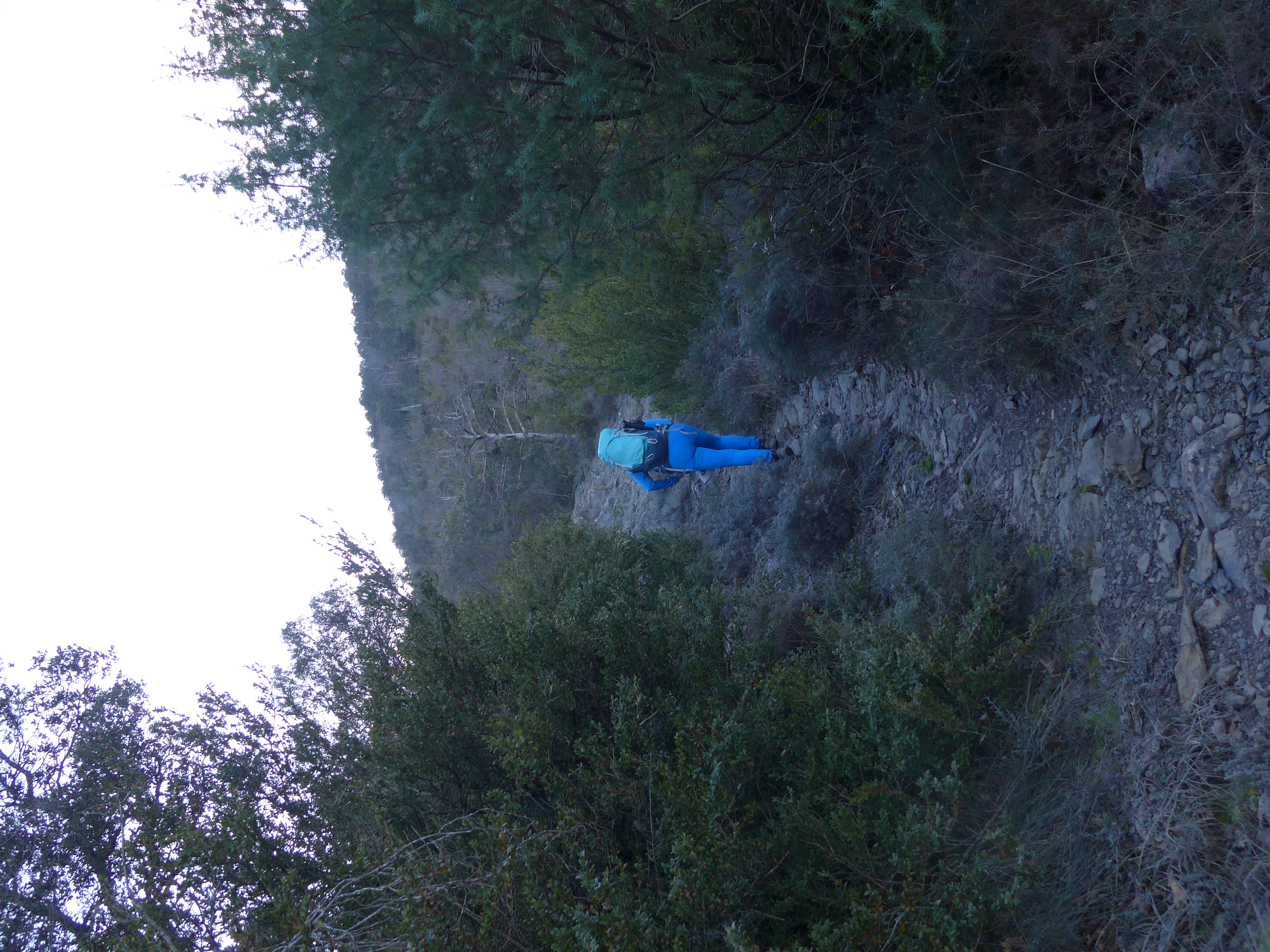 Senda de subida Burgui-Larra-V. PeñaI