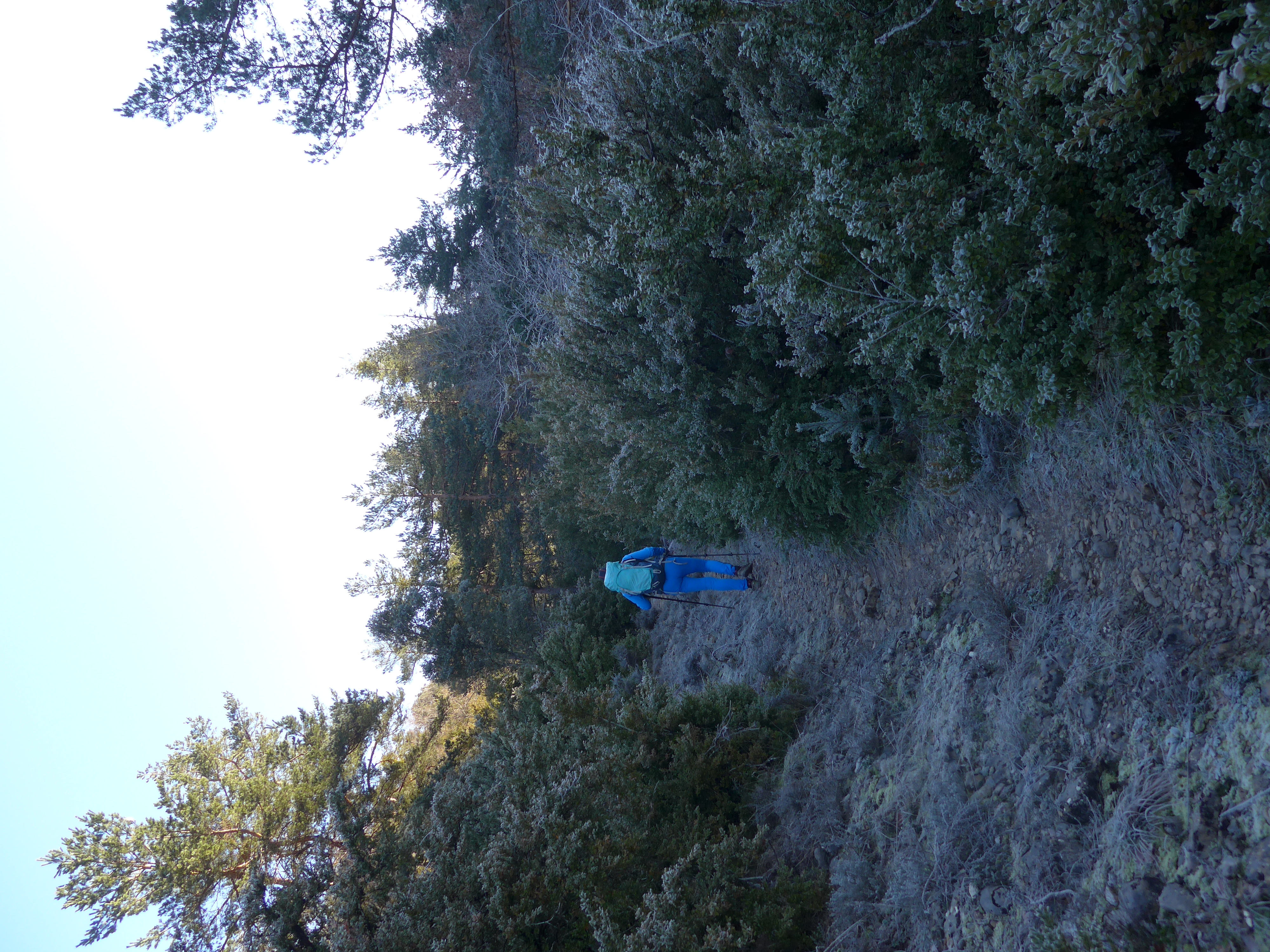 Senda de subida Burgui-Larra-V. PeñaII