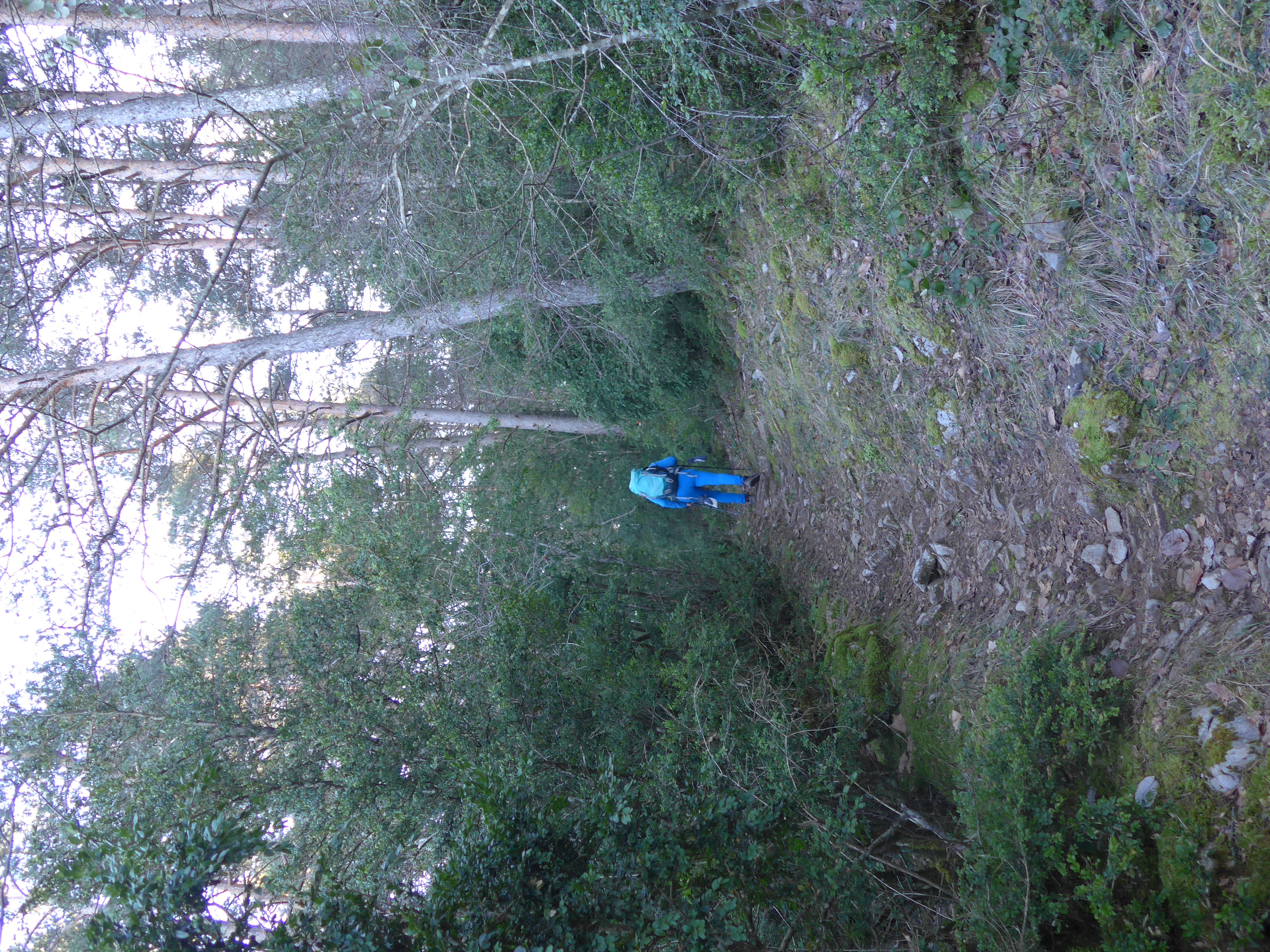 Senda de subida Burgui-Larra-V. PeñaIII