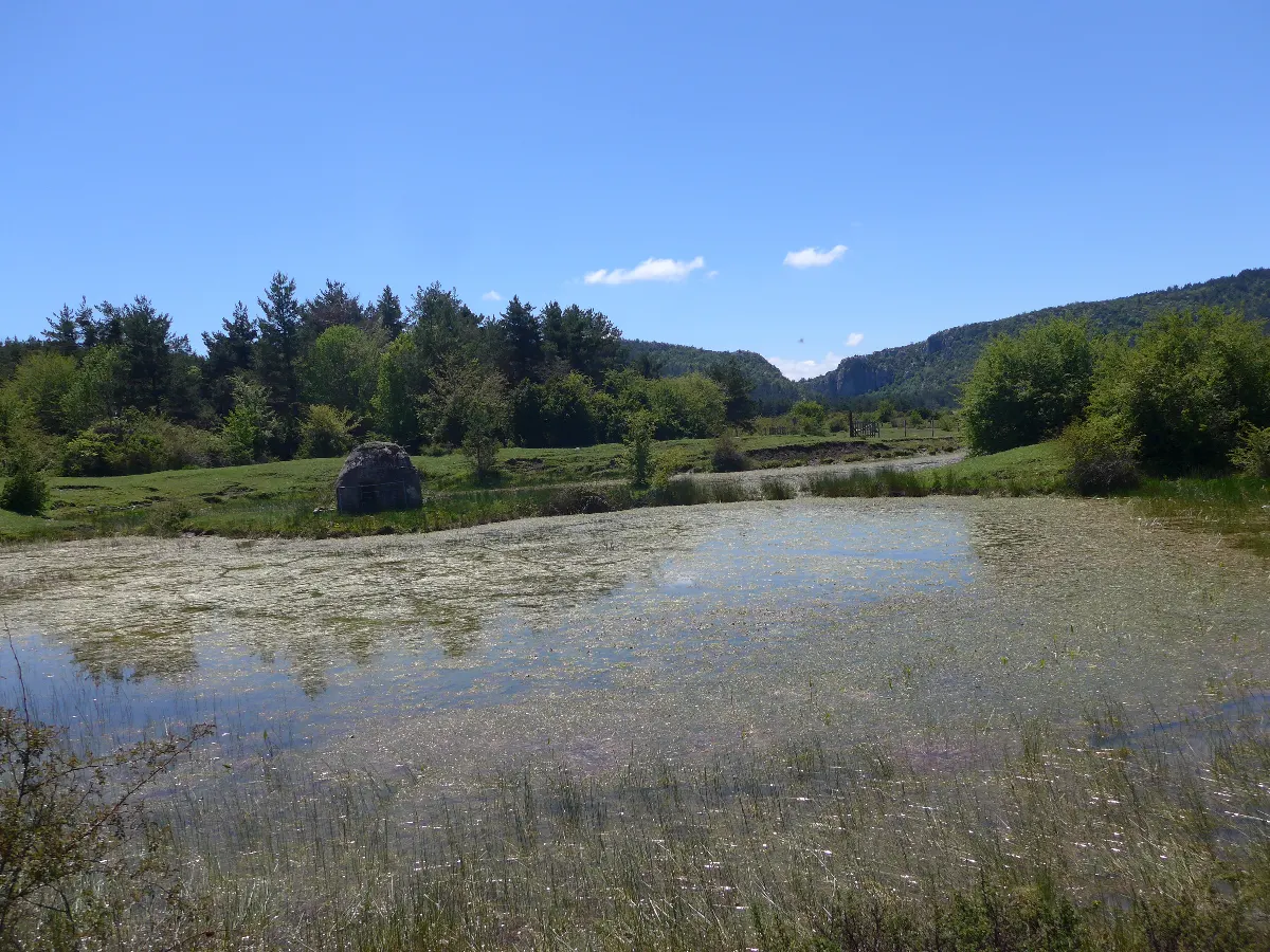 Balsas de Sasi