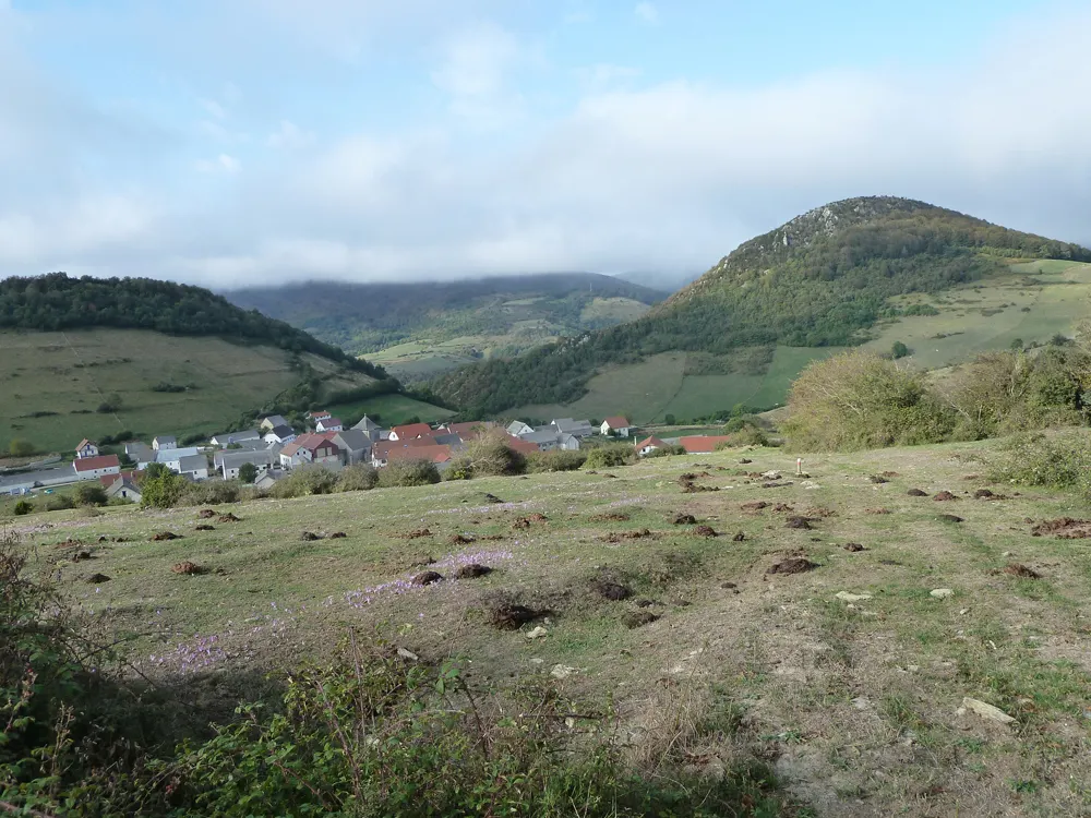 Hiriberri/Villanueva de Aezkoa