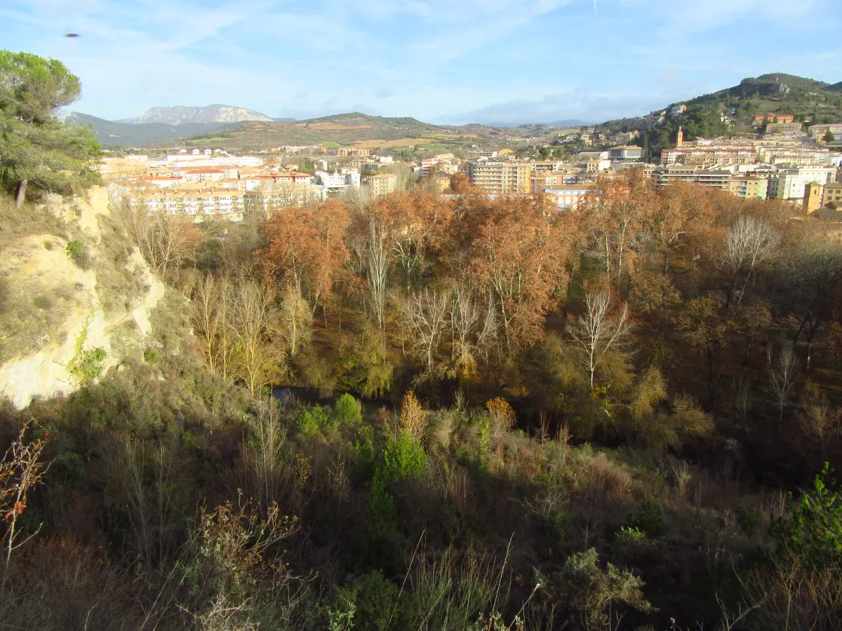 Ruta del Zumaque 1