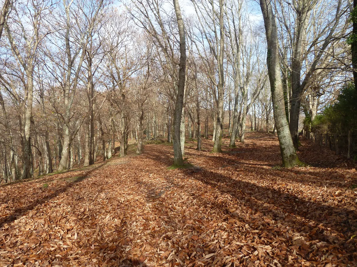 UDAZKENA/OTOÑO