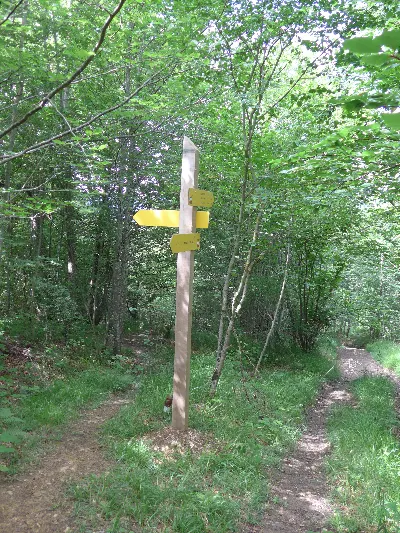 Poste 29