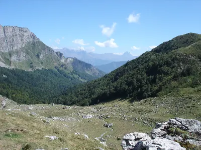 Foto4