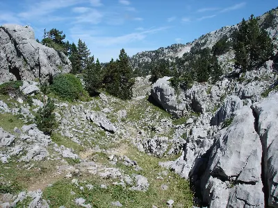Foto5