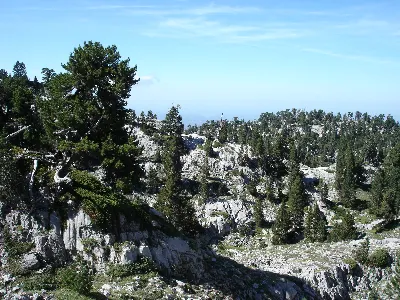 Foto6