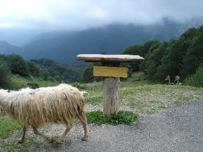 Foto8