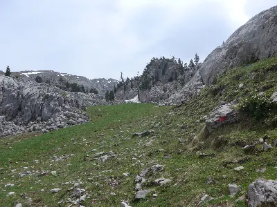 Larra2