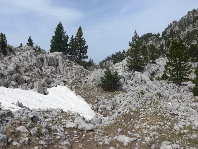 Larra3