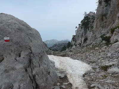 Larra5