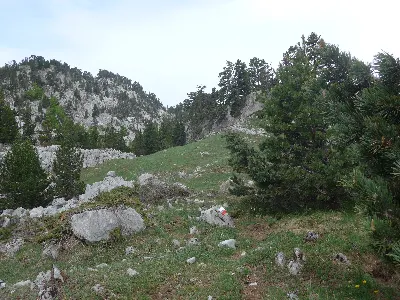 Foto3