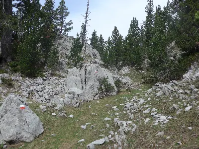 Foto4