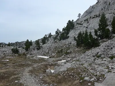 Foto6
