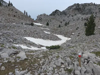 Foto8