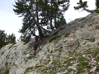 Foto10