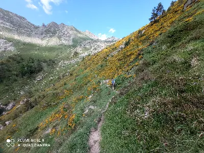 Foto2