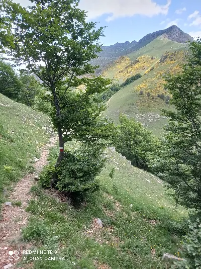 Foto7