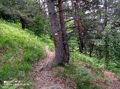 Foto10
