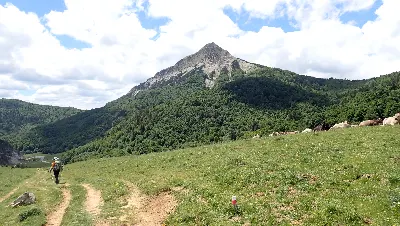 Foto9