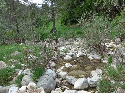 Río Veral