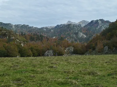 Foto2