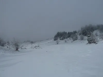 Foto invernal