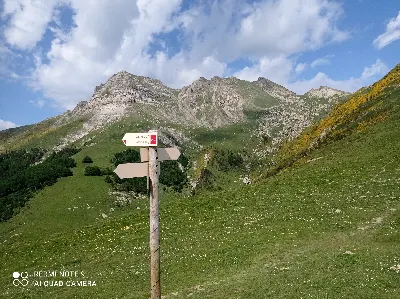 Arrakogoiti