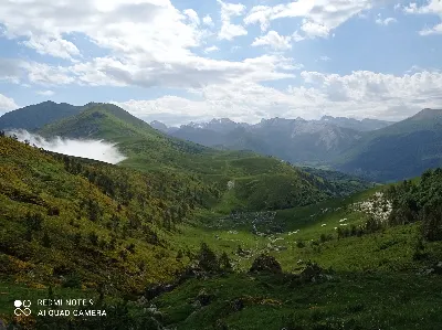 Foto4