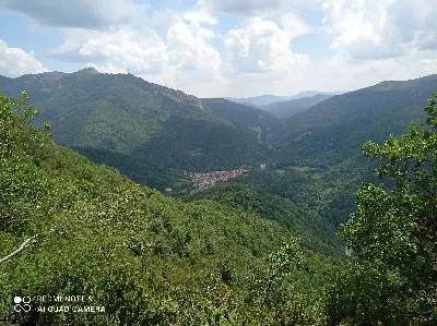 Isaba