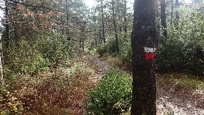 GR 220 etapa 6-9