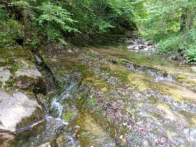 ERREKA/REGATA