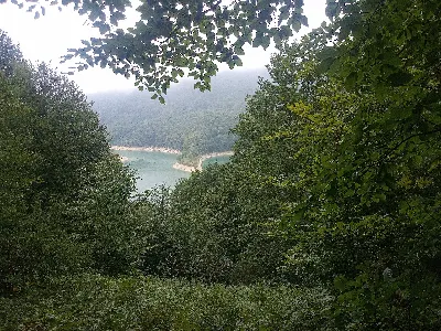 IRABIA