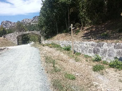 PLAZAOLA