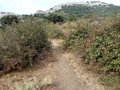 MONTE ERGA MENDIA