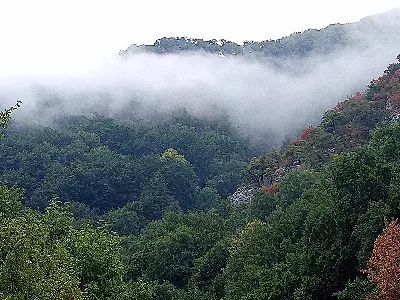 BERDEGUNEA/VERDOR